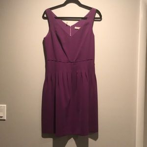 Gorgeous purple Rebecca Taylor dress